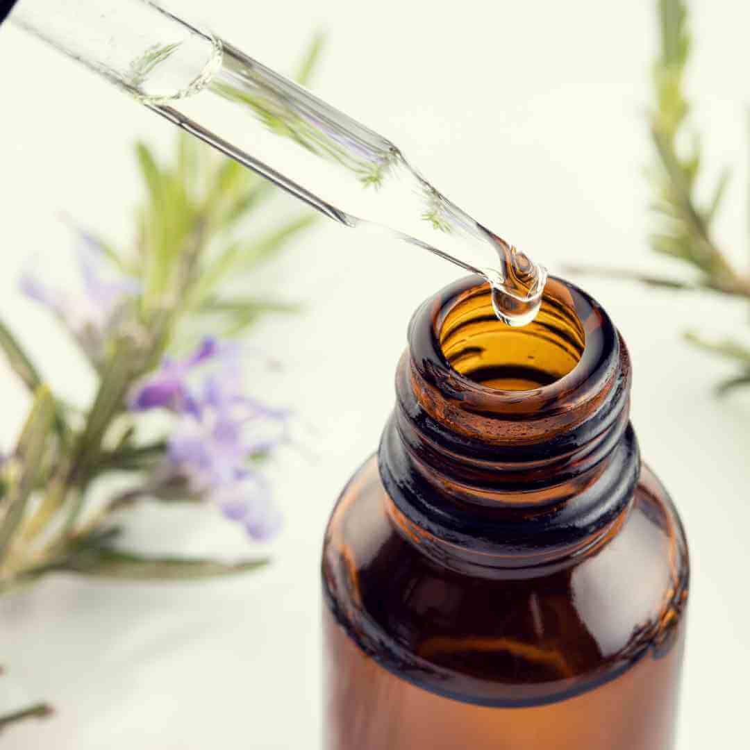 Rosemary oil dropper bottle with rosemary essential oil rests on a white background. Fresh rosemary sprigs with fragrant green needles blur in the background.